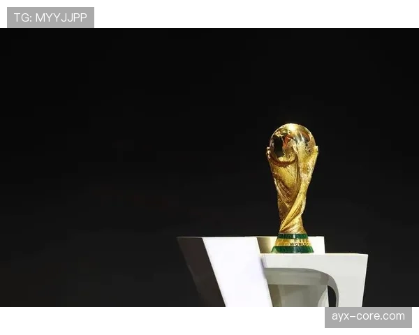 2026世界杯开幕战门票不同区域价格对比
